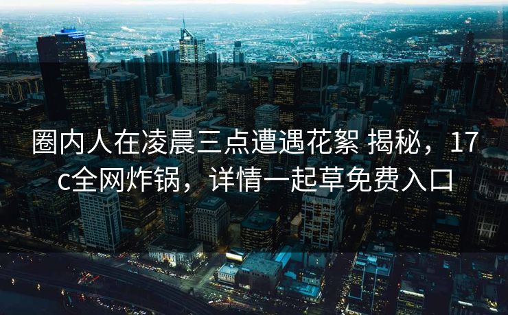 圈内人在凌晨三点遭遇花絮 揭秘，17c全网炸锅，详情一起草免费入口