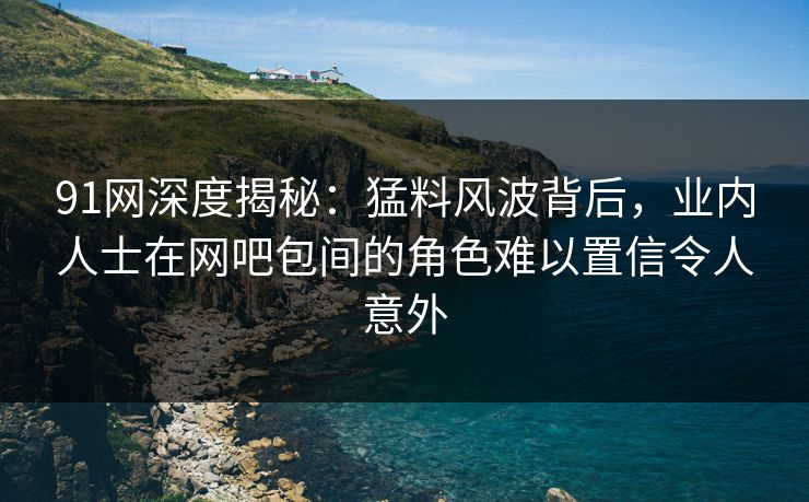 91网深度揭秘：猛料风波背后，业内人士在网吧包间的角色难以置信令人意外