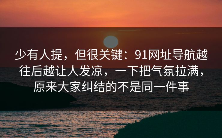 少有人提，但很关键：91网址导航越往后越让人发凉，一下把气氛拉满，原来大家纠结的不是同一件事