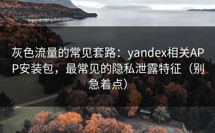 灰色流量的常见套路:yandex相关APP安装包,最常见的隐私泄露特征(别急着点) 灰色流量的常见套路:yandex相关APP安装包,最常见的隐私泄露特征(别急着点)